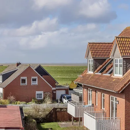 50187... شقة هارليسييل